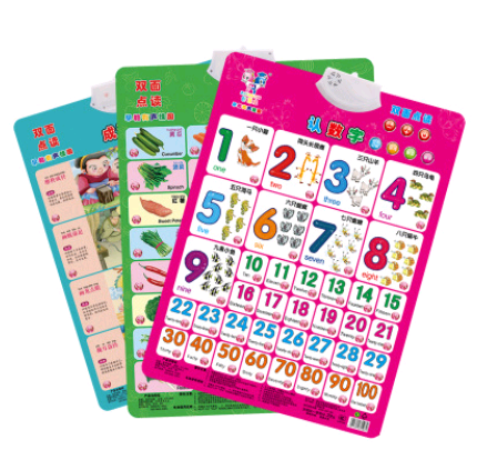 Double-Sided Wall Vocal Phonetic Flip Chart