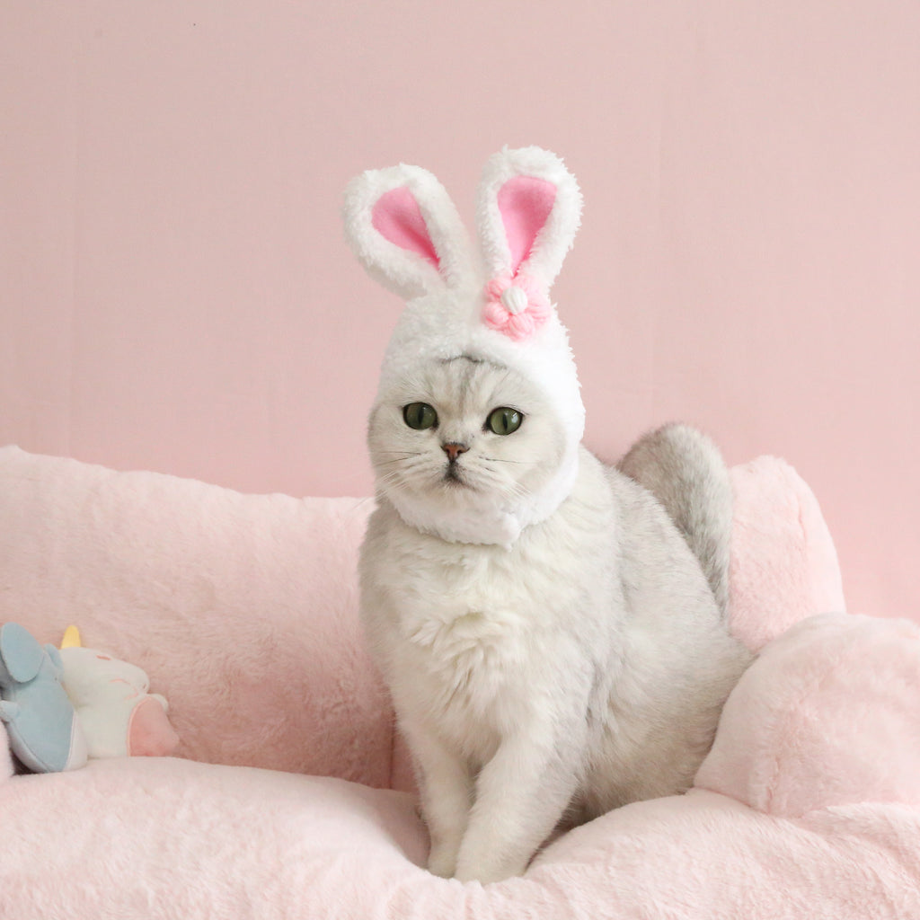 Pet Plush Rabbit Hat