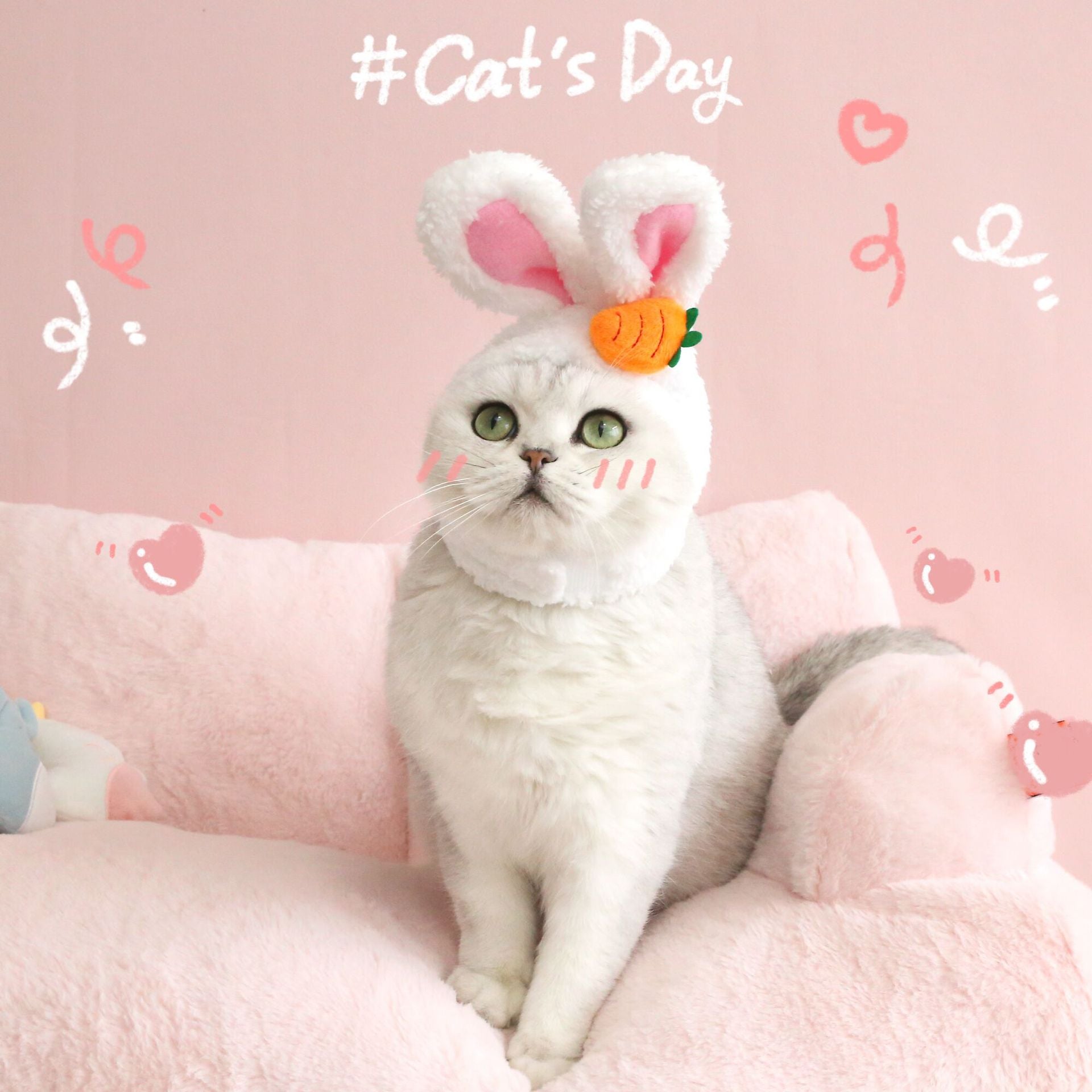 Pet Plush Rabbit Hat