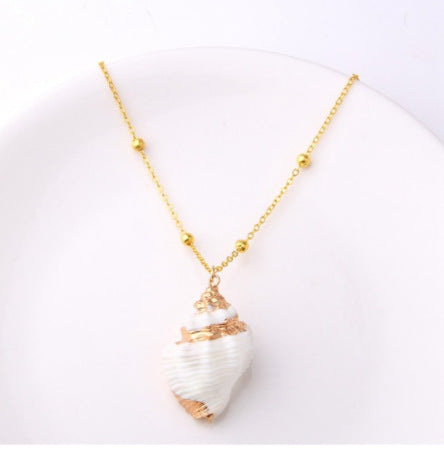 Cute Shell Necklace