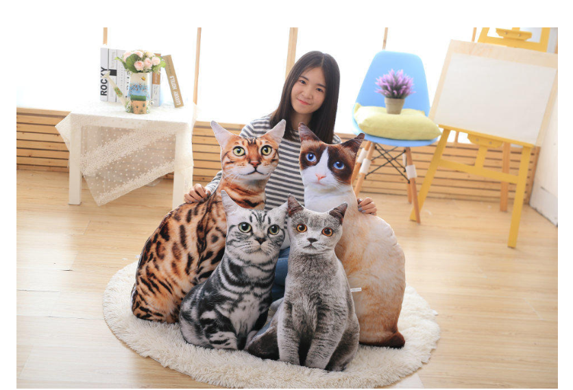 Cute Cat Plush Toy