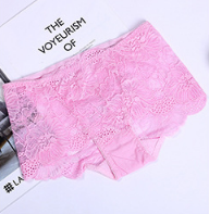 mid rise Lace underwear