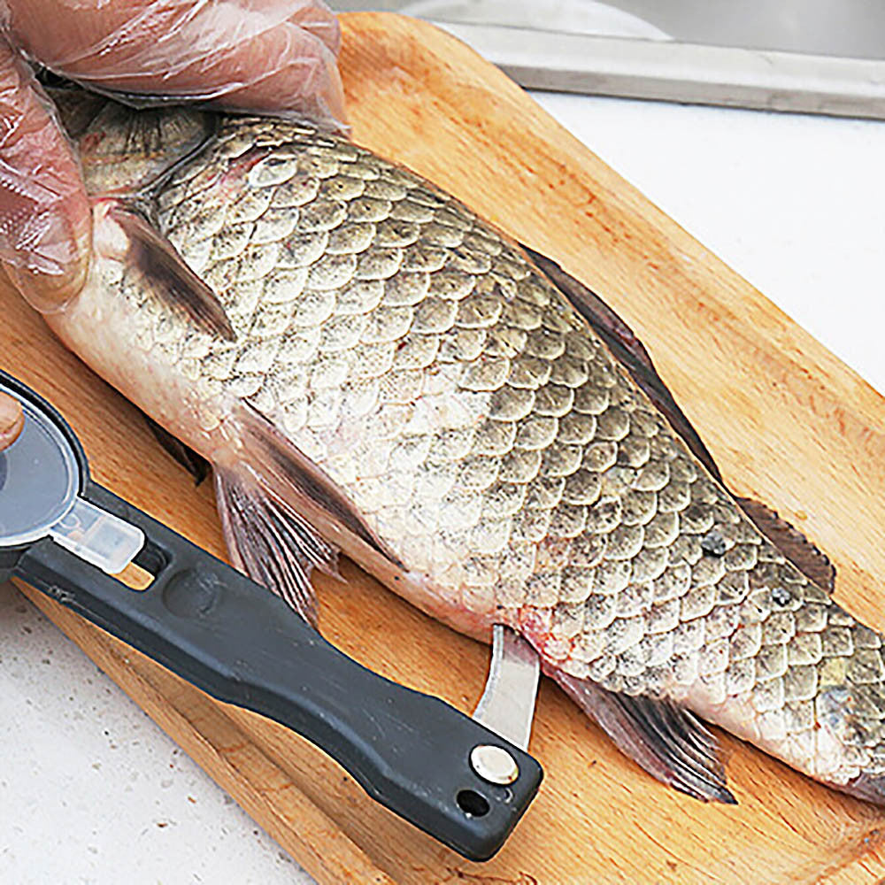 Fish Scale Remover