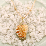 Cute Shell Necklace