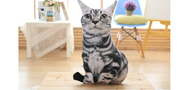 Cute Cat Plush Toy
