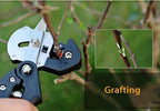 Garden Pruning Shears