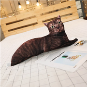 Cute Cat Plush Toy