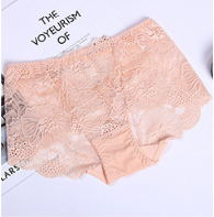 mid rise Lace underwear