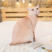 Cute Cat Plush Toy