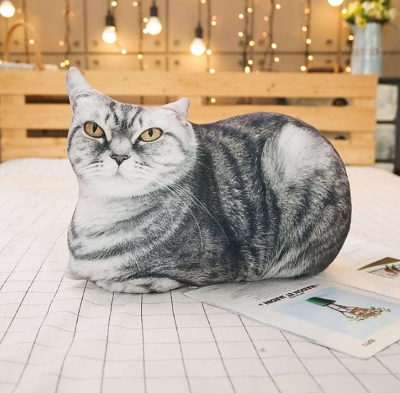 Cute Cat Plush Toy