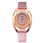 Cute Mesh Wrist Watch