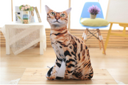 Cute Cat Plush Toy