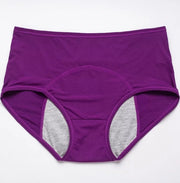 Leak Proof Menstrual Underwear