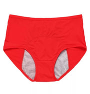 Leak Proof Menstrual Underwear