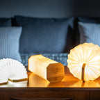 Smart Wood Folding Light